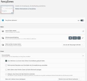 Netzleiter IT Support EDV Dienstleistungen PowerToys FancyZones