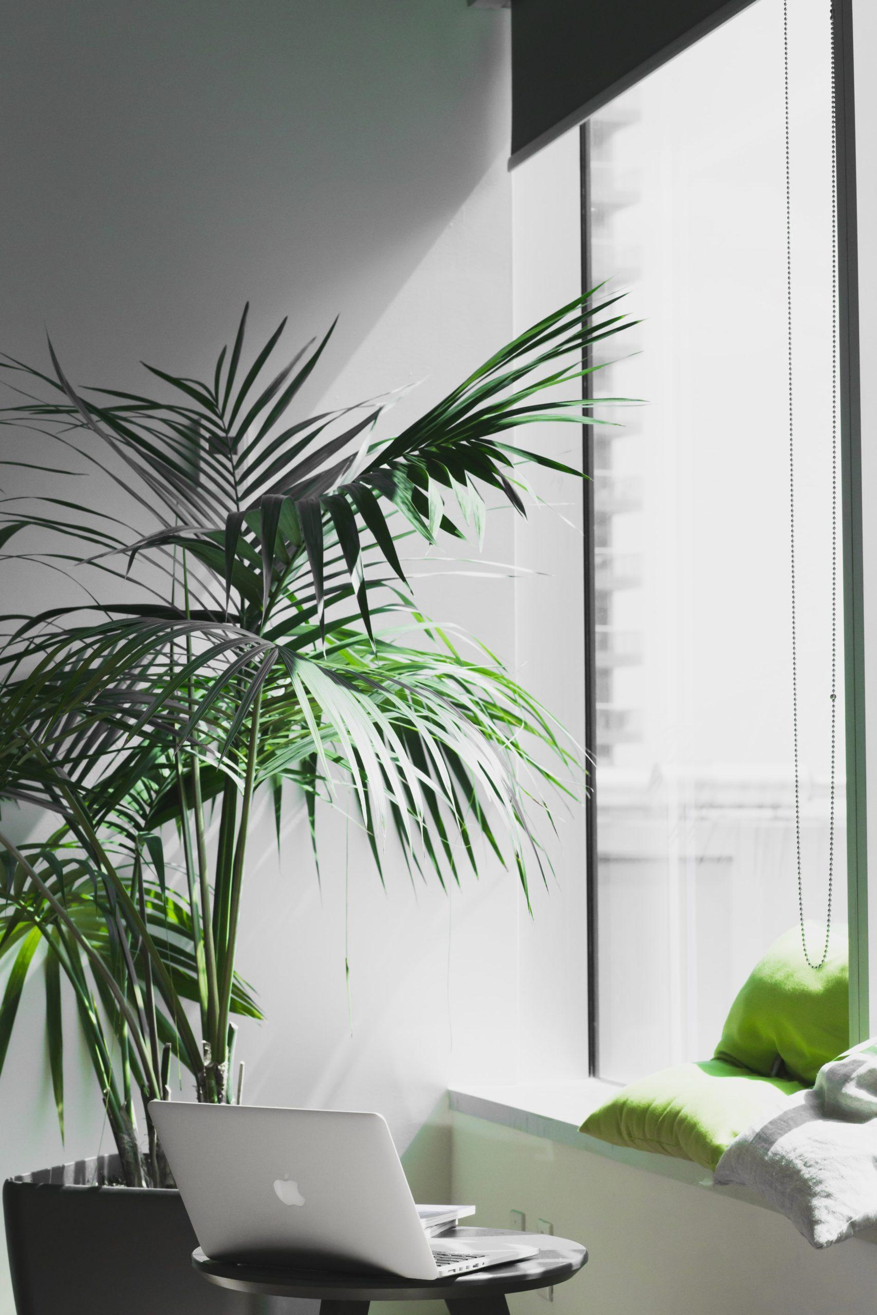Netzleiter IT Support EDV Dienstleistungen alesia kazantceva E8dAbseeFLo unsplash 2 scaled 1