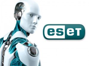 Netzleiter IT Support EDV Dienstleistungen eset 003