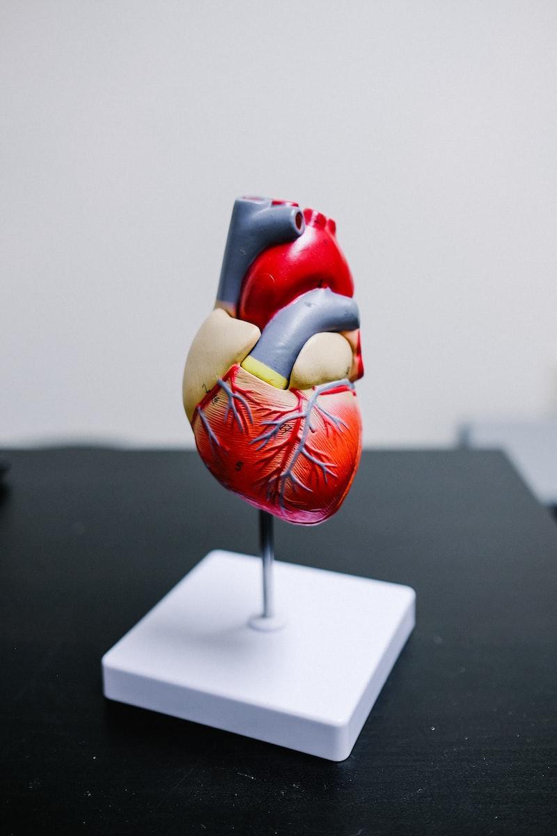 heart herz red and yellow bird figurine